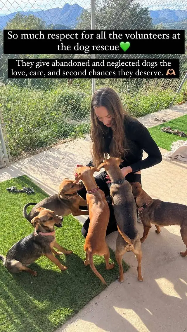 femke kok hond