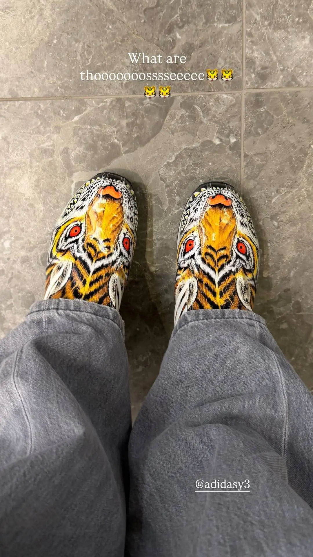 Roxy Dekker tijgerschoenen