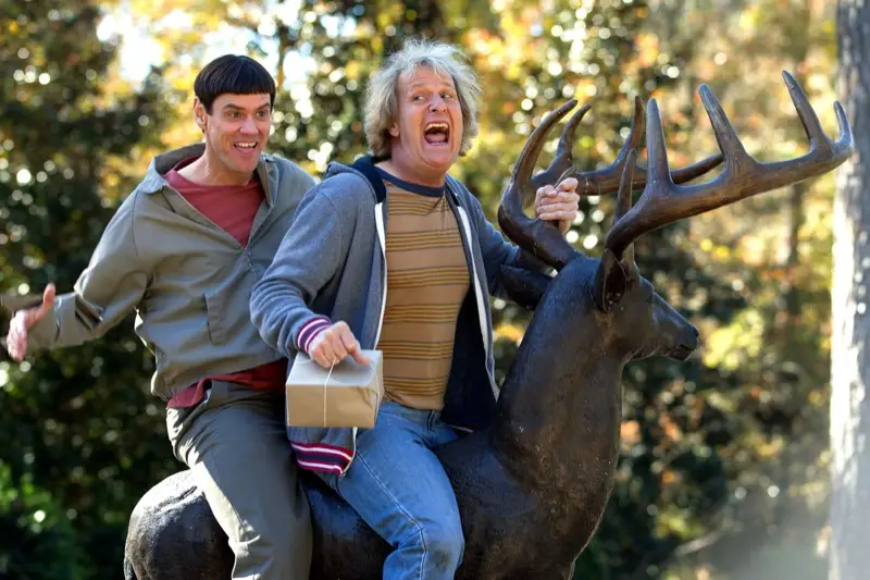 dumb and dumber to 47042720 st 2 s low