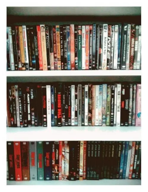 dvds martijn 499x650