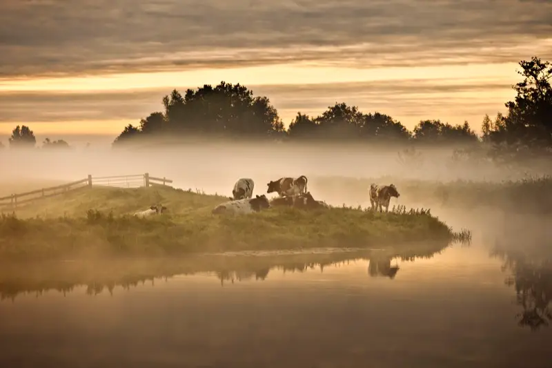 holland natuur in de delta 47042982 st 3 s low