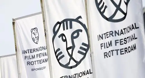 iffr banners