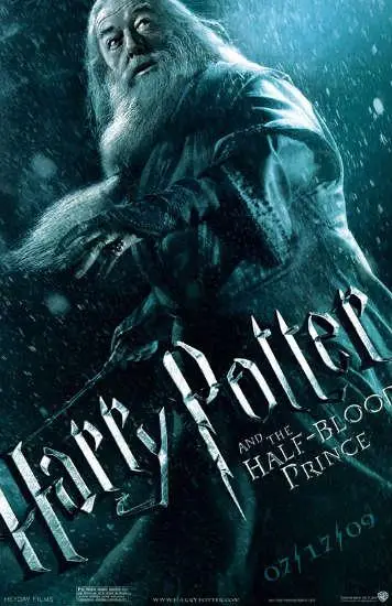 intlhp6poster22
