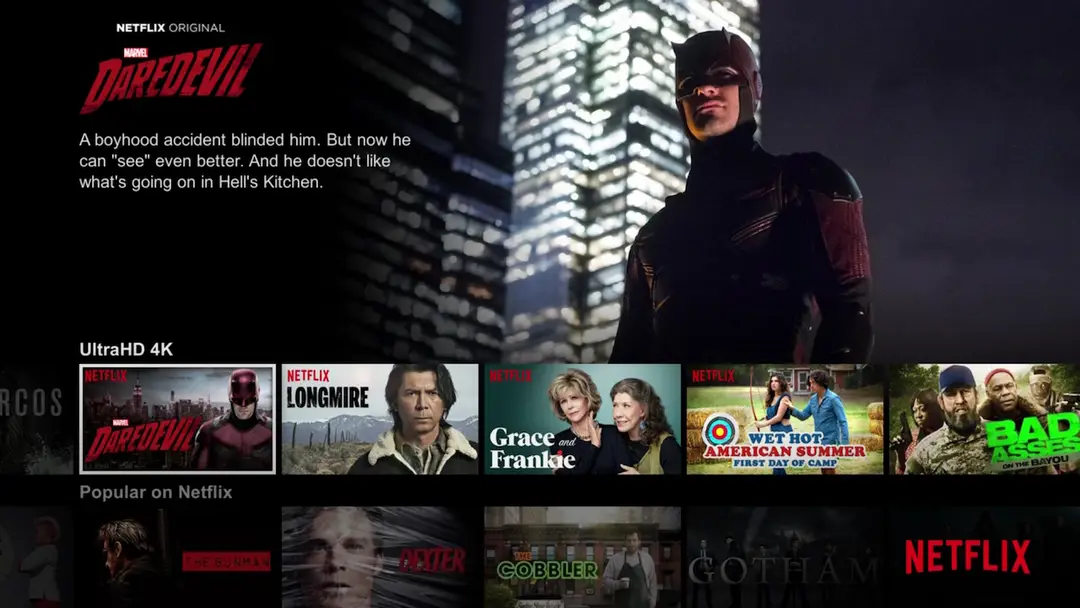 netflix dd
