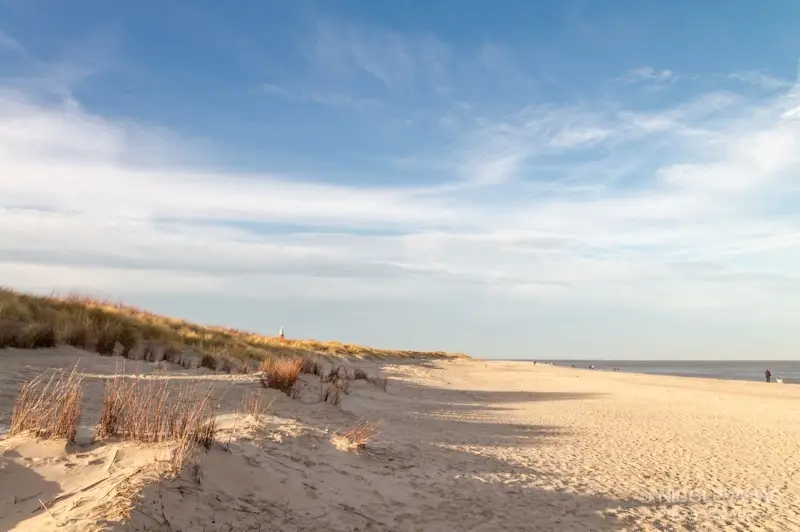 nva 20121229 8502 texel strand web