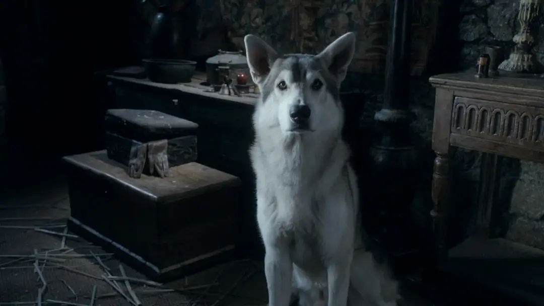 nymeria