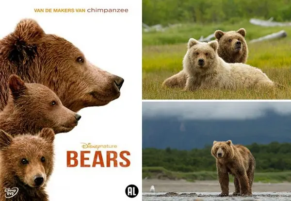 week203520 20bears