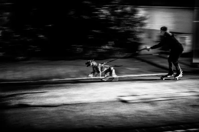 zombie the resurrection of tim zom 10000214 st 5 s low