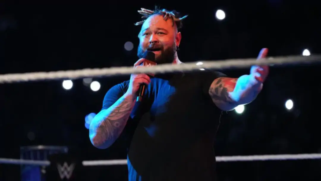 wwe bray wyatt