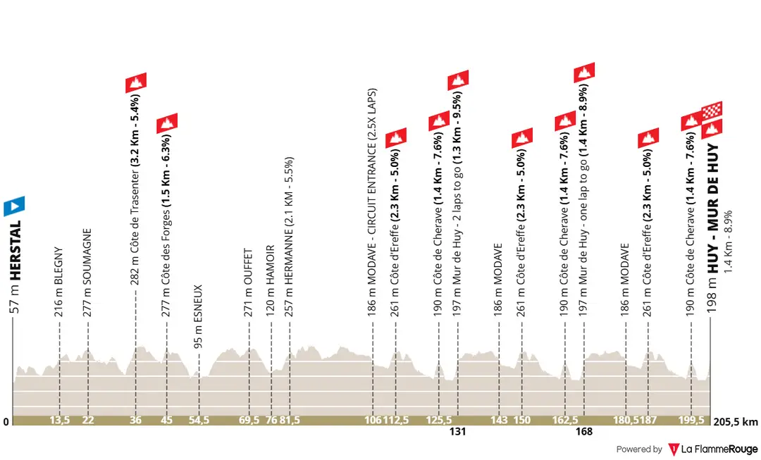 Profil La Fleche Wallonne 2026