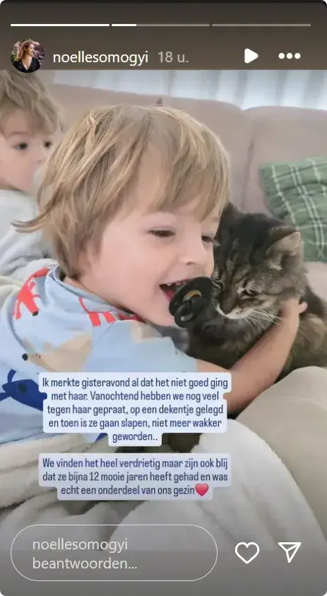 vlinder