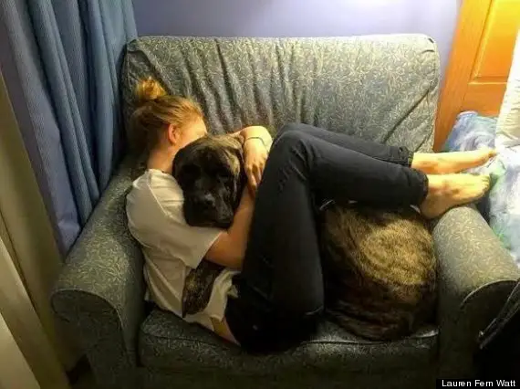 o cuddles 570
