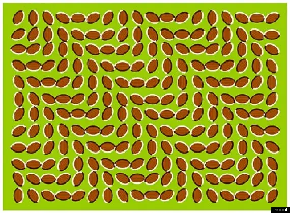 o optical illusions 570