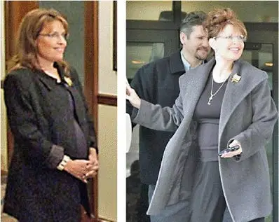 sarah palin baby hoax