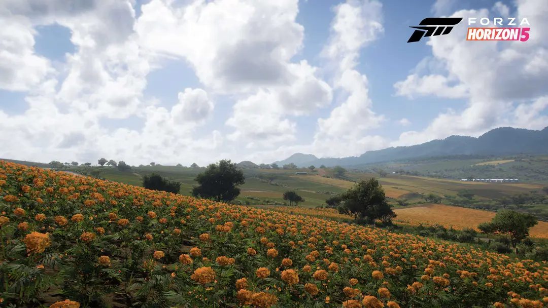 forza horizon 5 biome farmland 01 16x9 wmf1627370167
