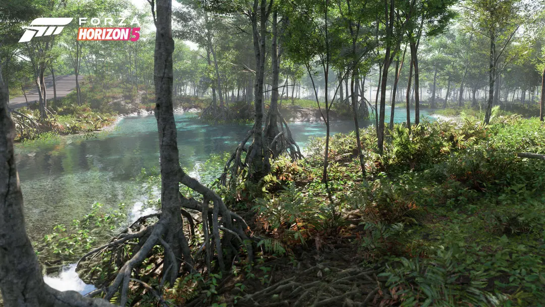 forza horizon 5 biome swamp 02 16x9 wmf1627370247