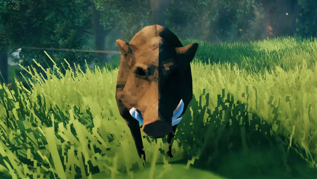 valheim boarf1615376599
