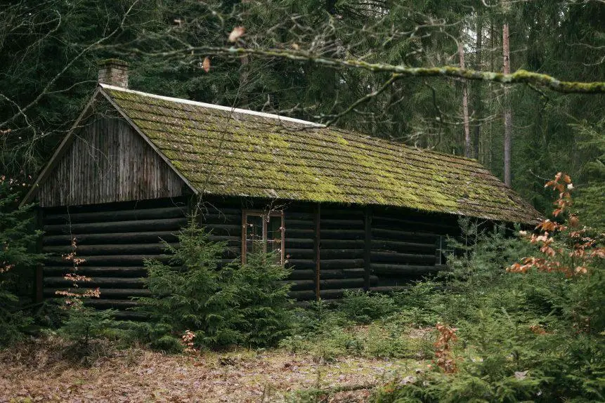 cabin in the woodsf1625221112