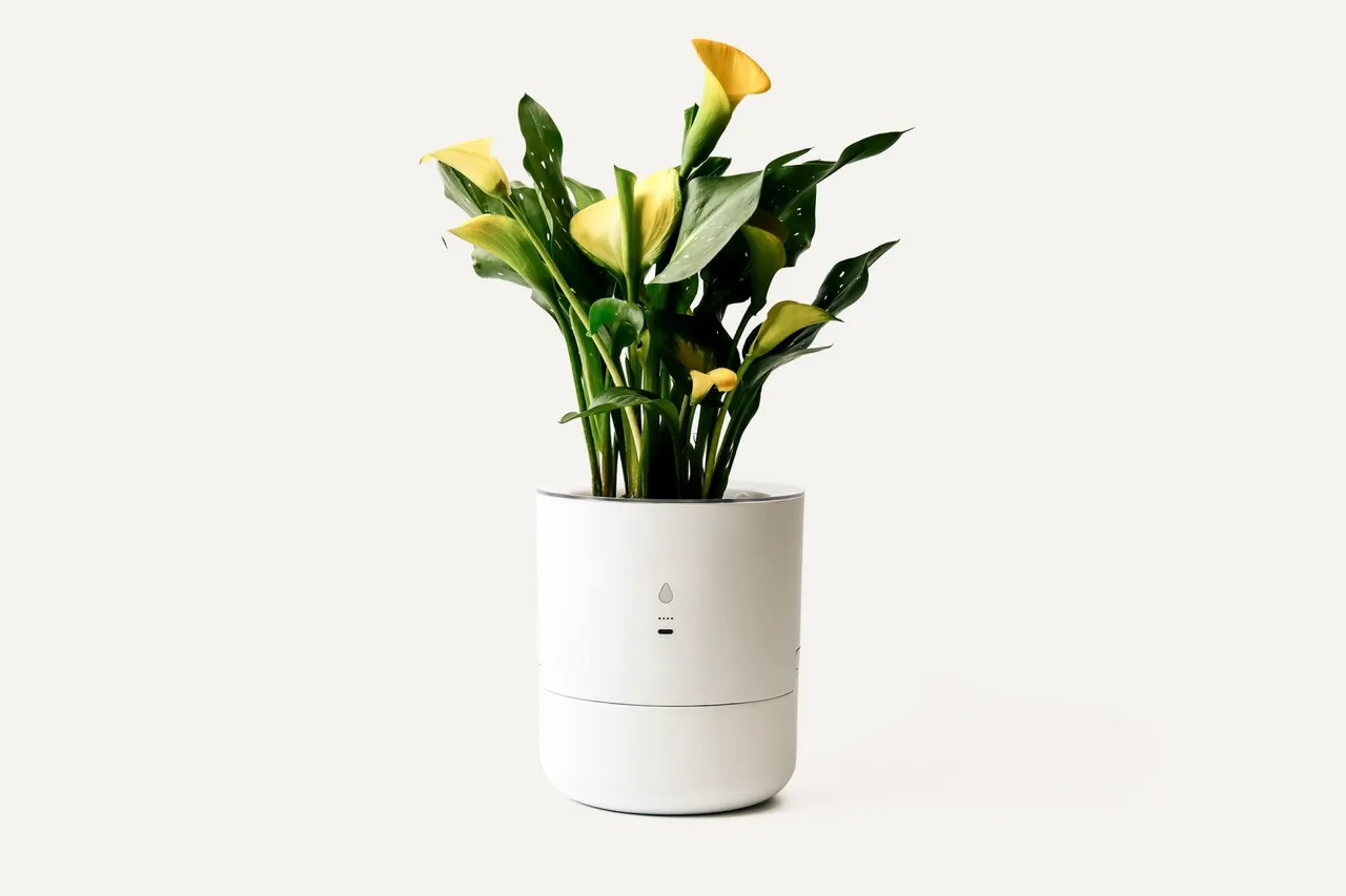 leafypod product