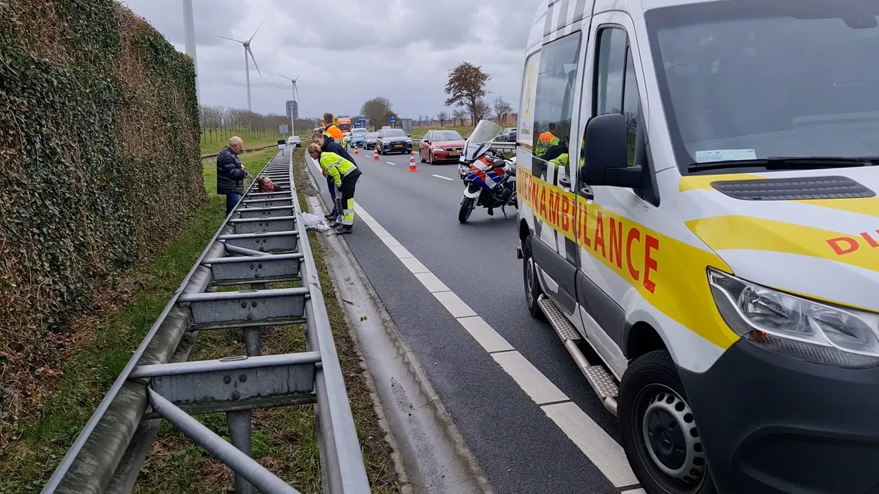 20230307 heerhugowaard hond aangereden op n242 2