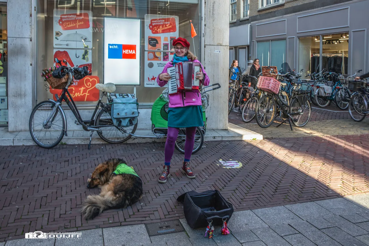 accordeoniste