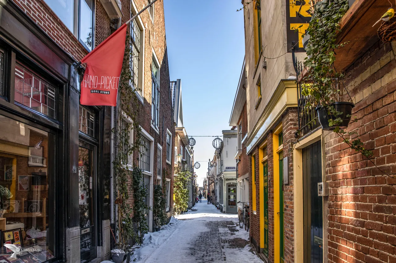 alkmaar sneeuw 15