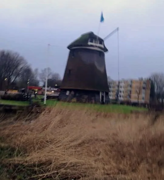 aries molen