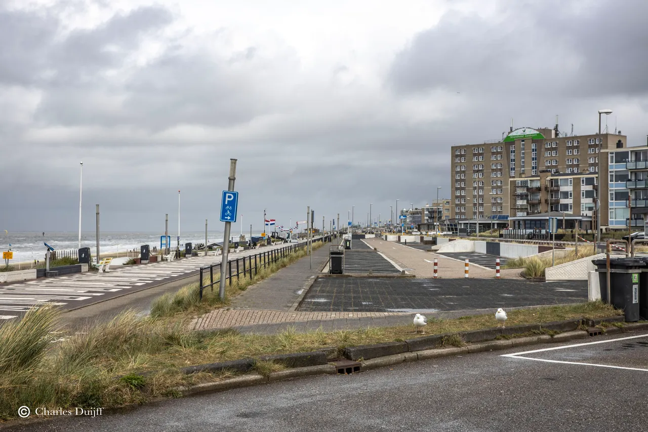 boulevard2
