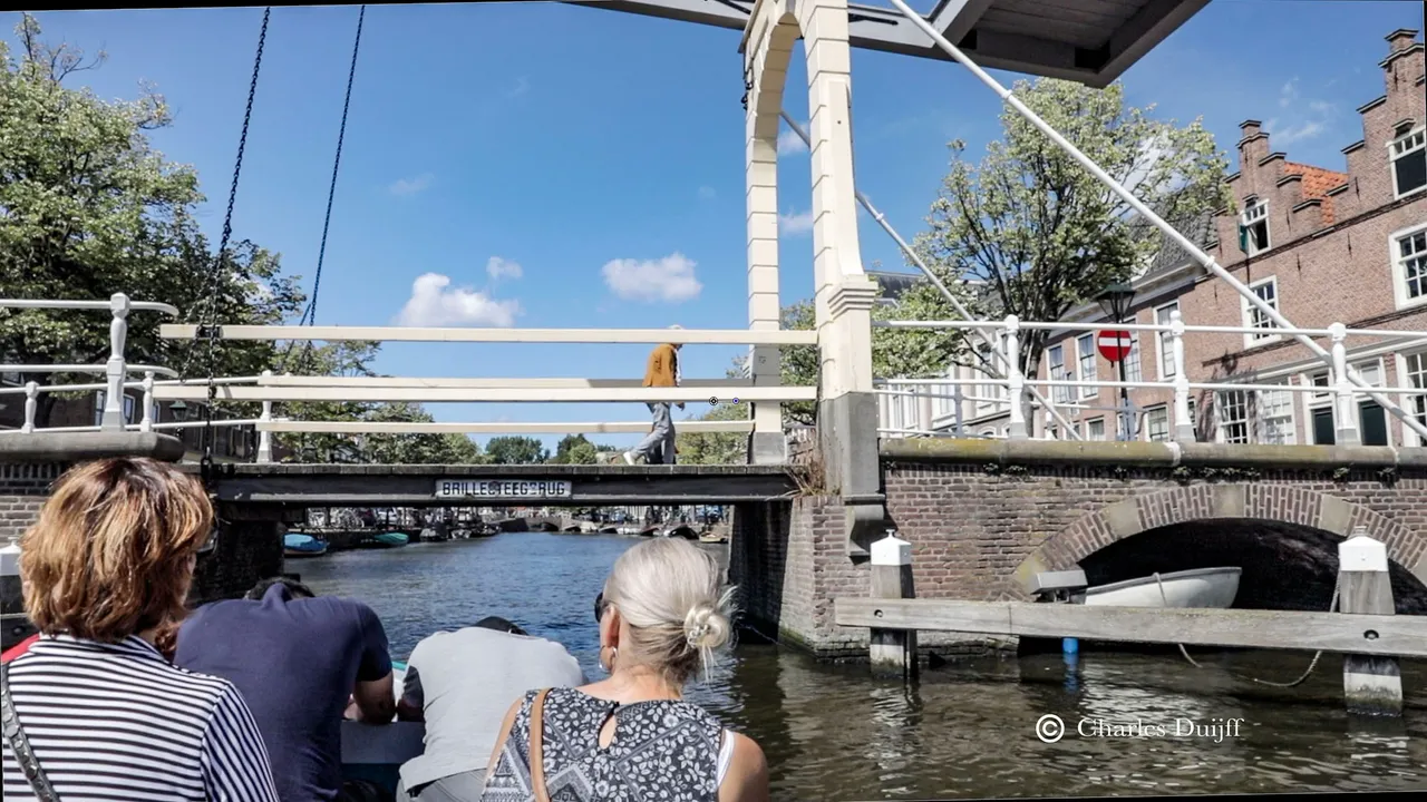 brillesteegsbrug