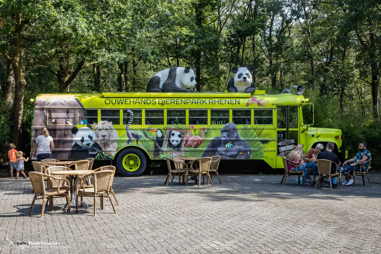 bus