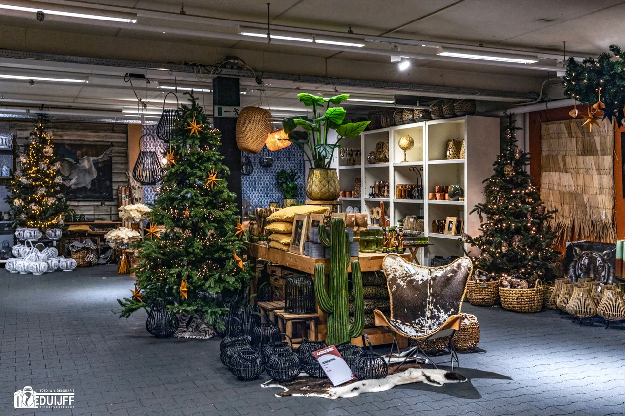 cactus en kerst