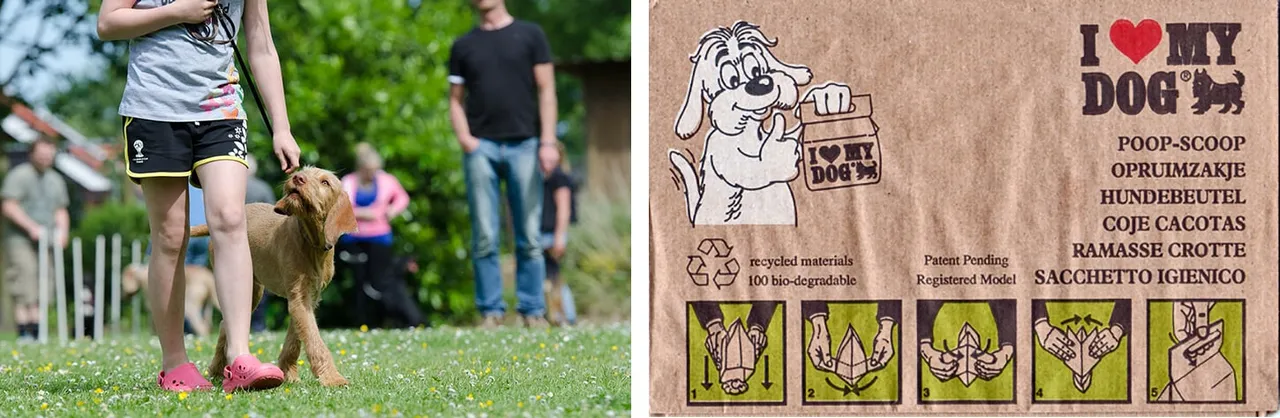 combi dog