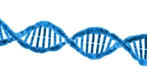 dna 163710 1280 300x169