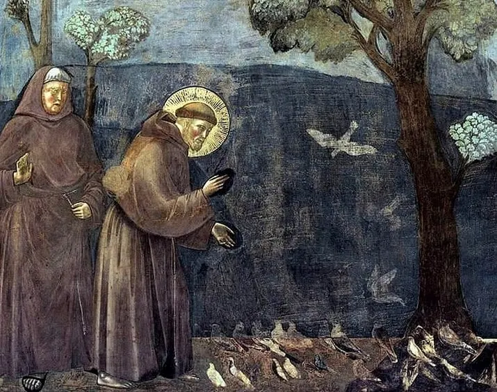 franciscus wiki