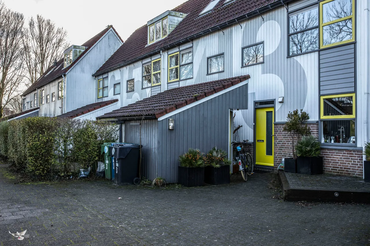 huis met lampjes