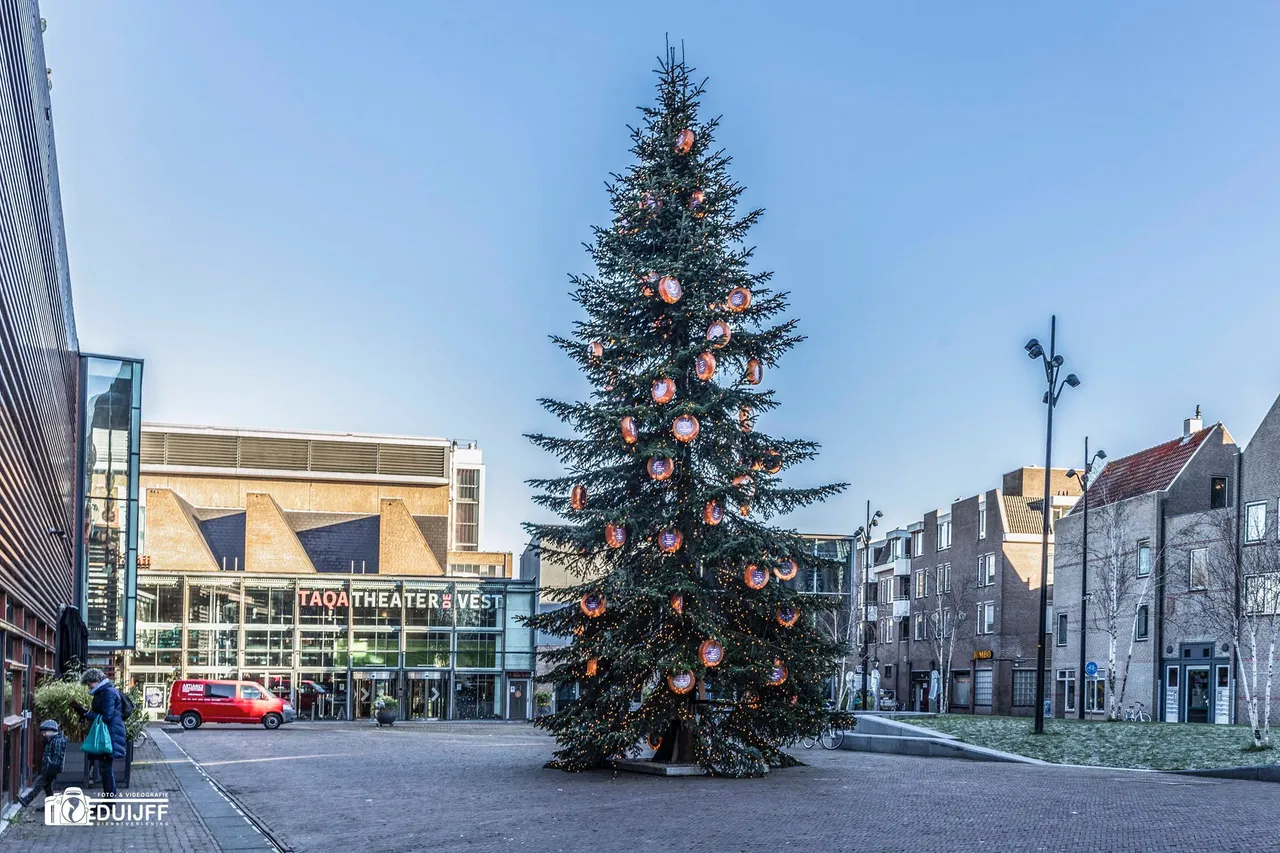 kazen kerstboom