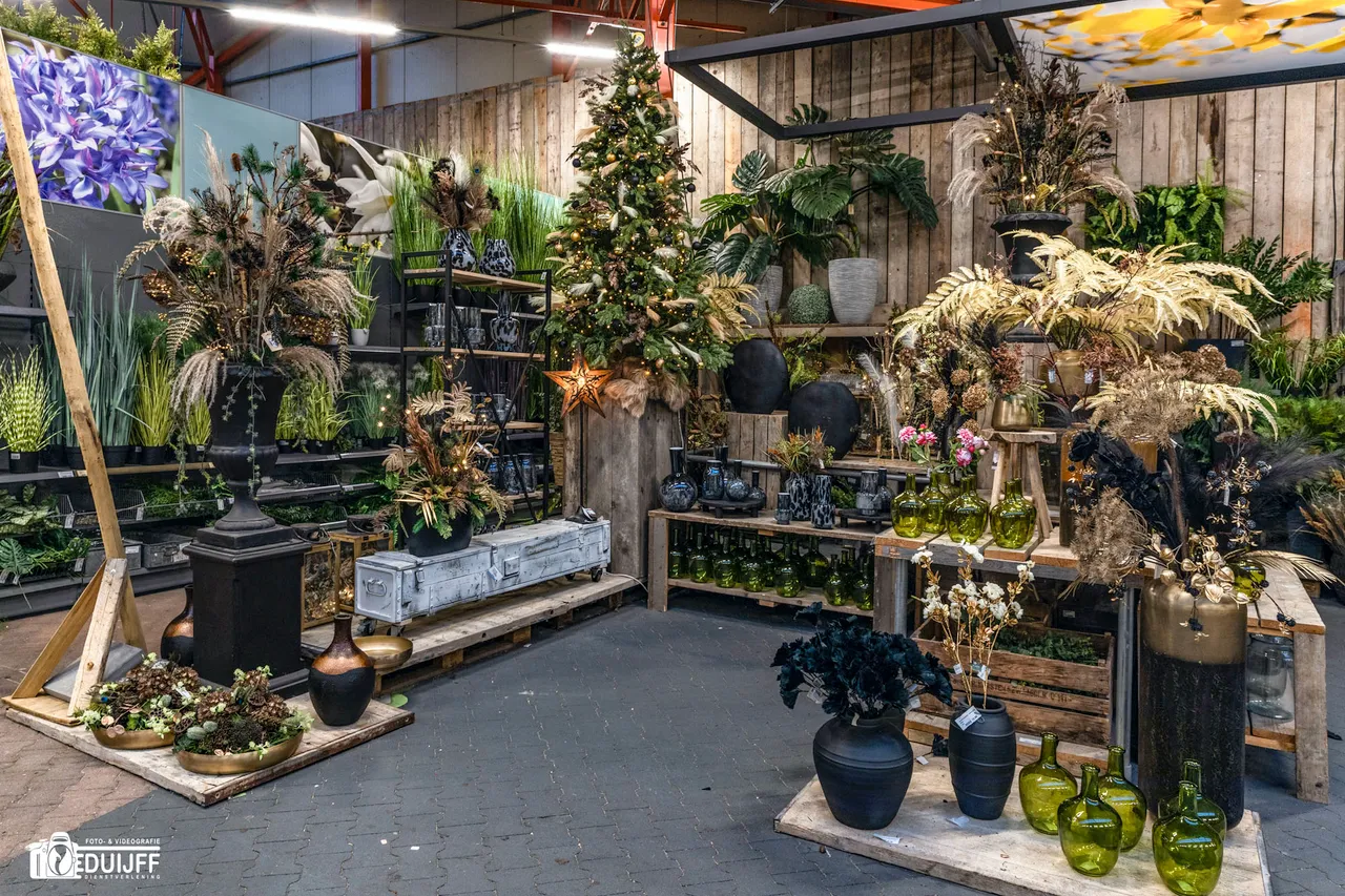 kerst en planten