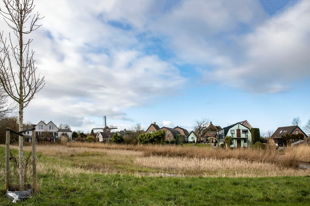 koedijk landschap