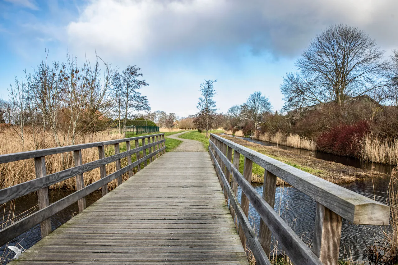 koedijk natuur