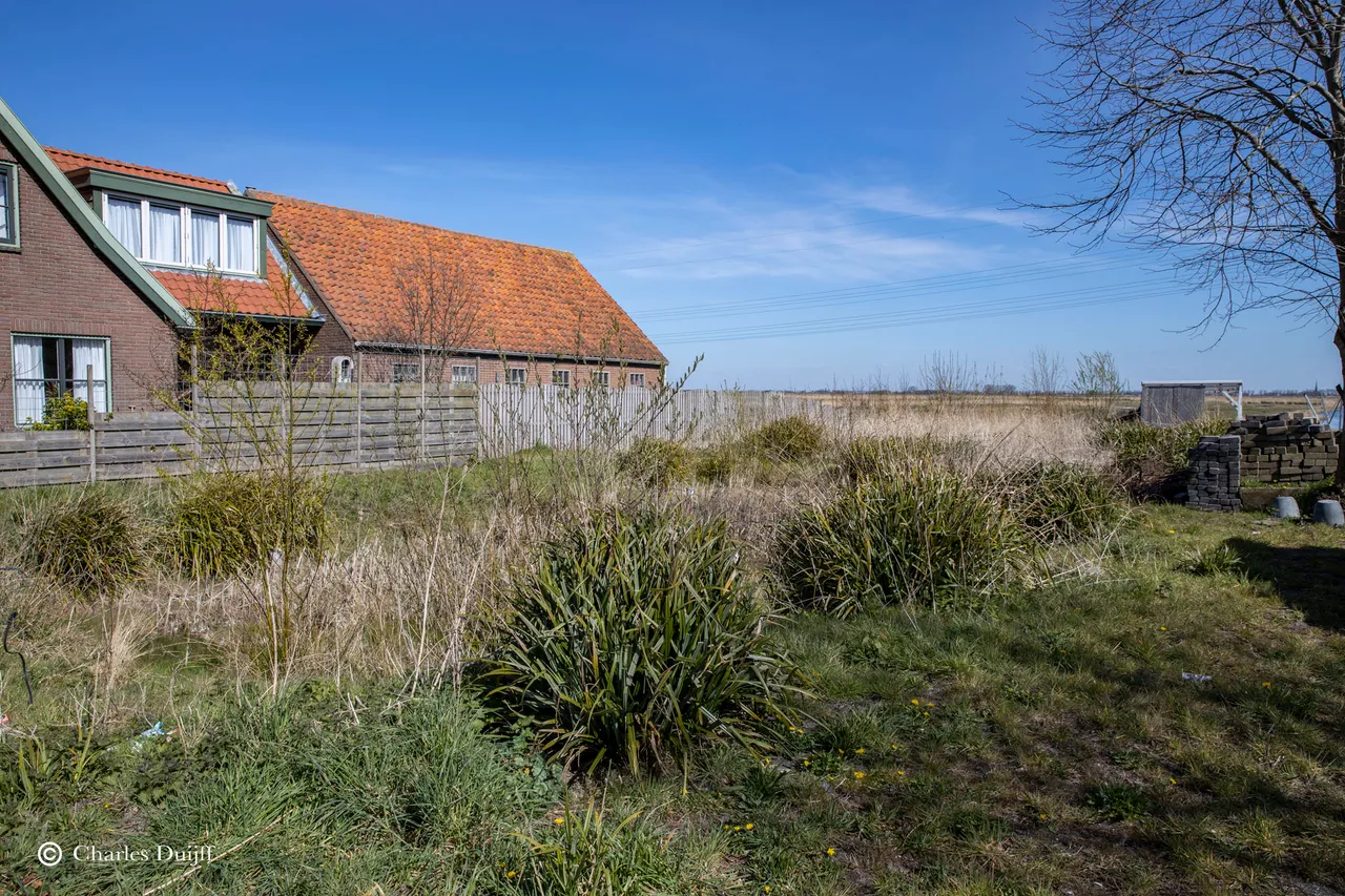laandschap2