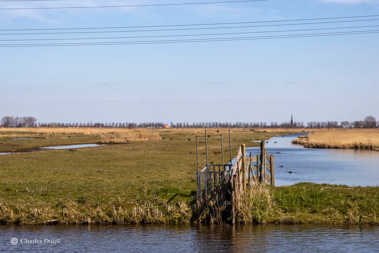 landschap