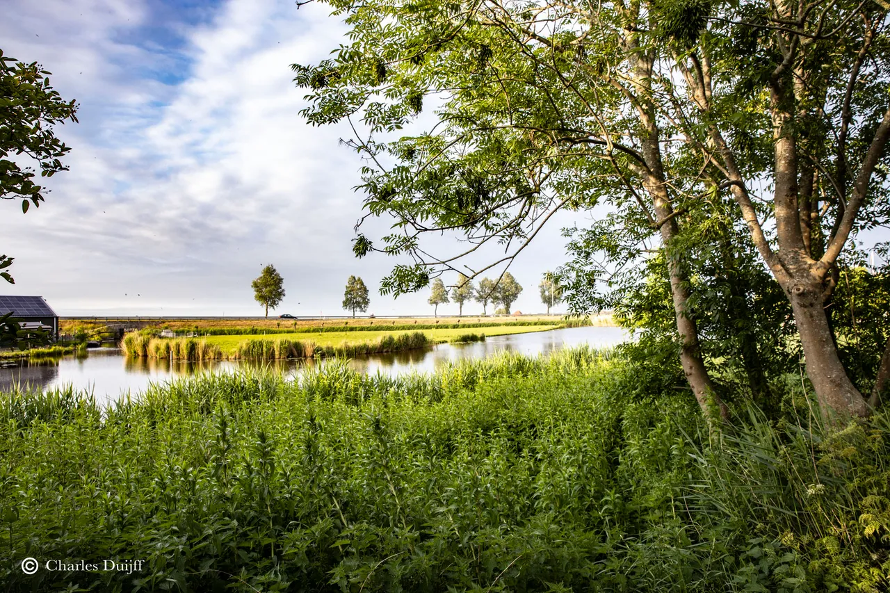 landschap