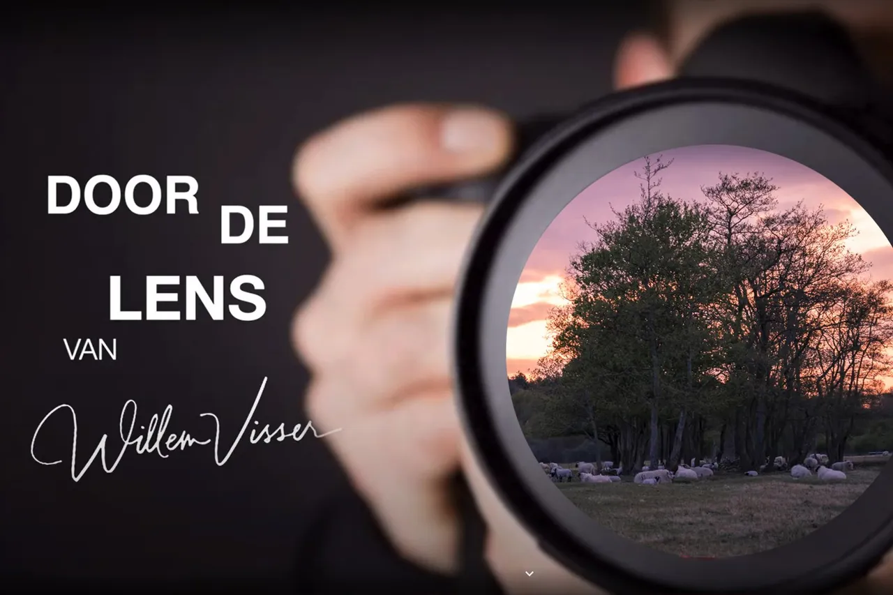 lens door 2