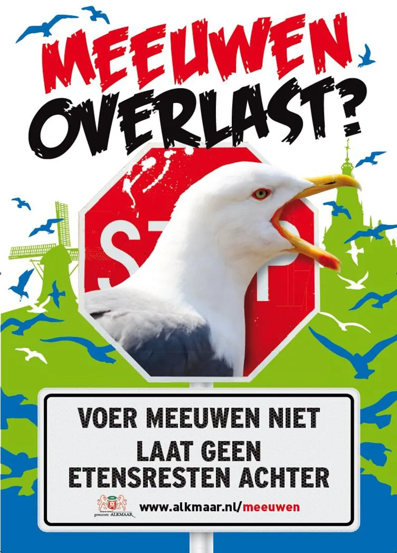 meeuwenposter