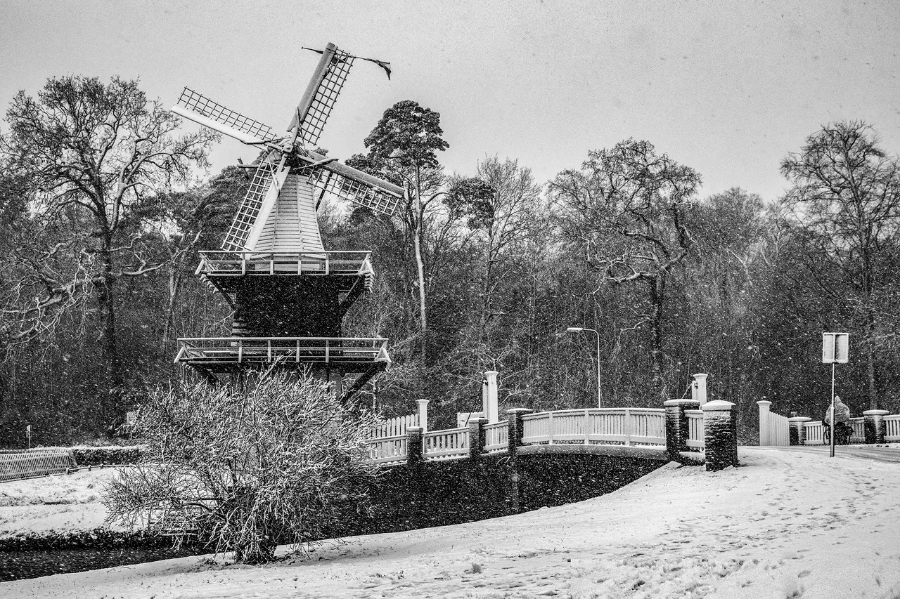 molen let it snow