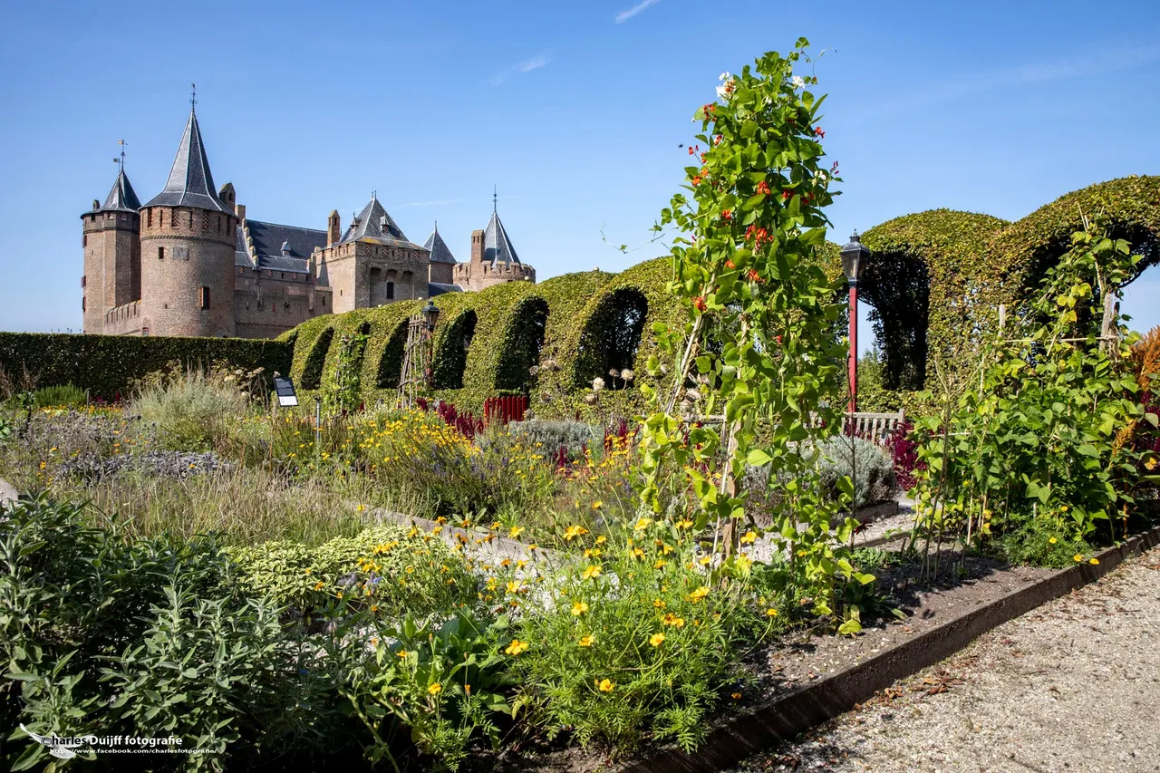 ms en tuin