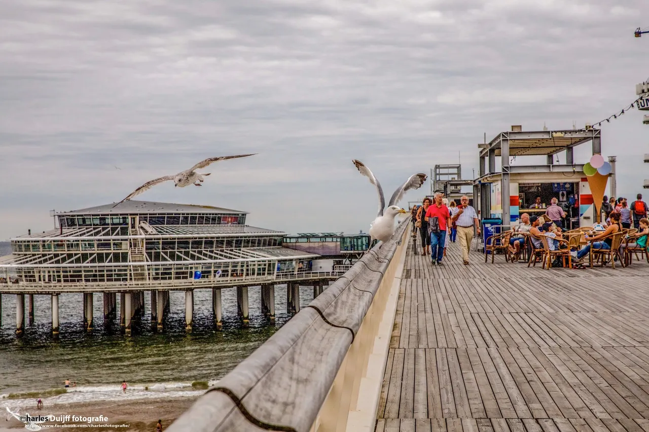 pier bovendek