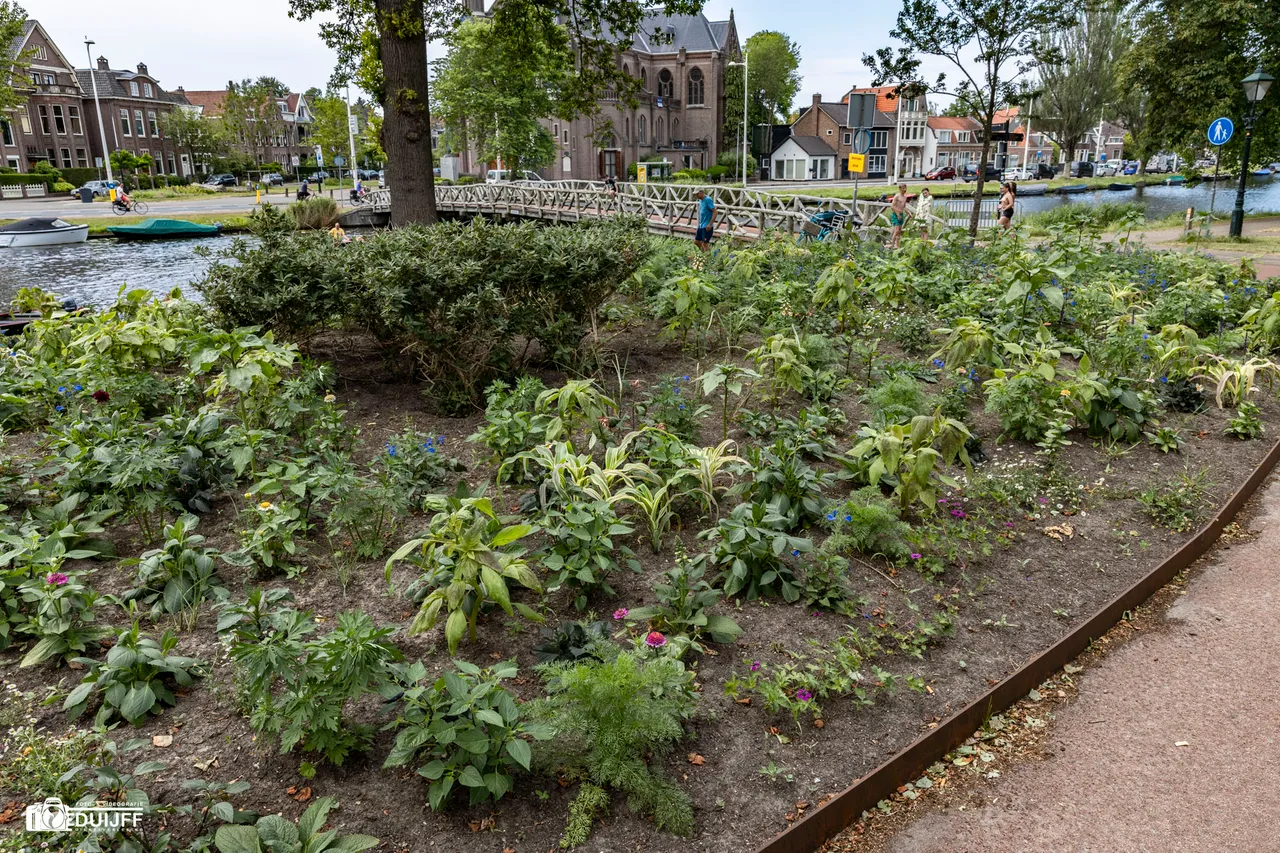 plantsoen