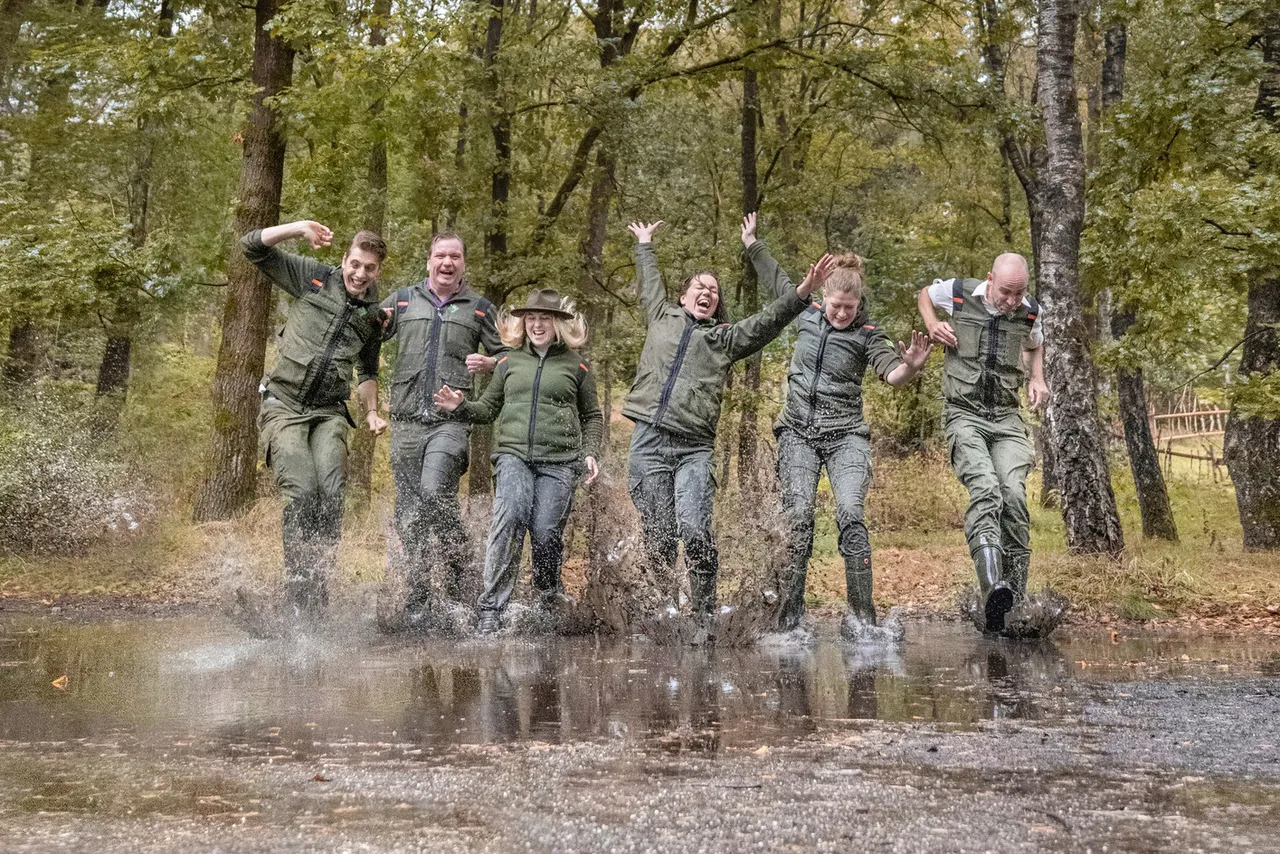 plassen stampen staatsbosbeheer