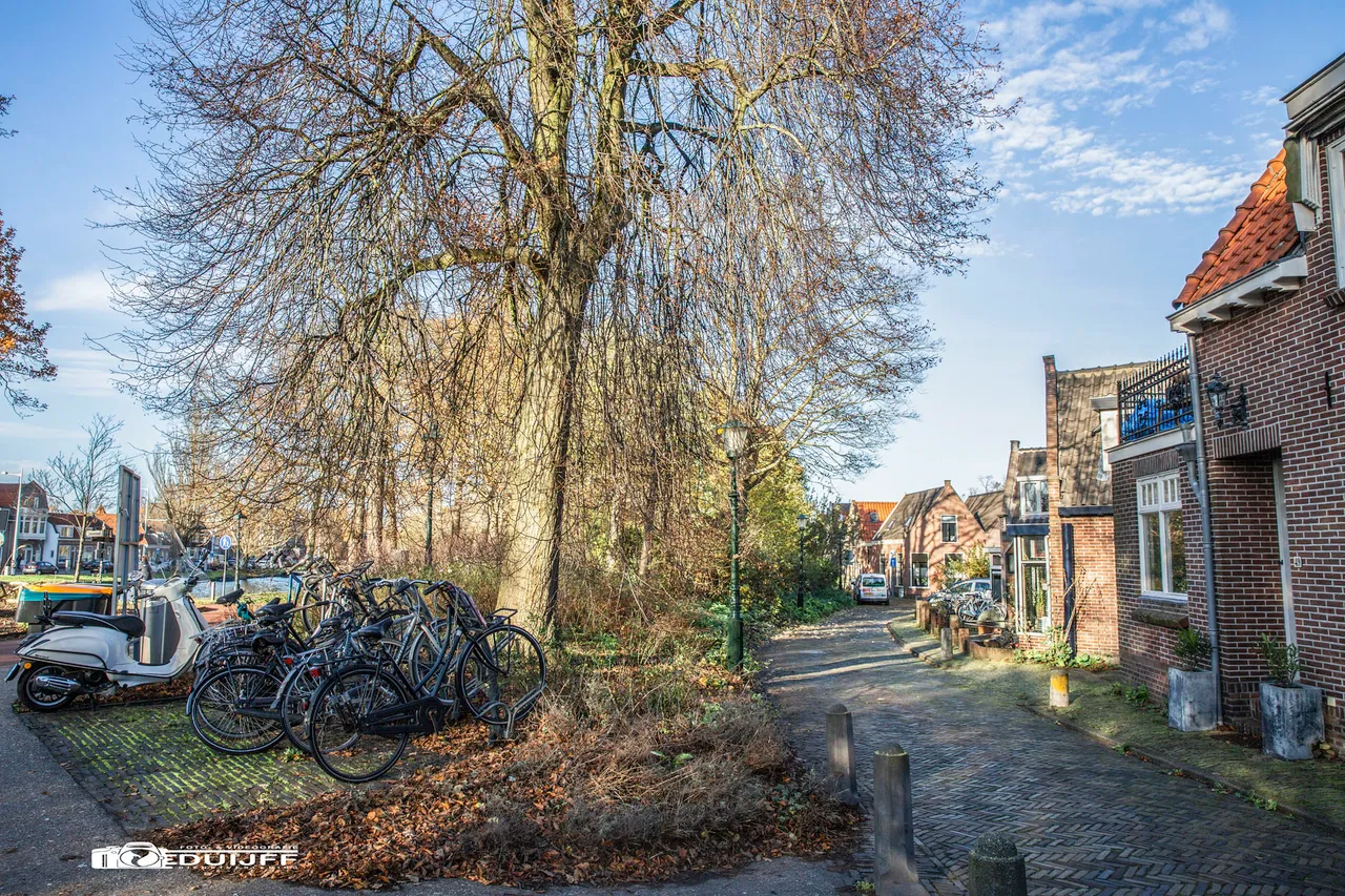straat langs water